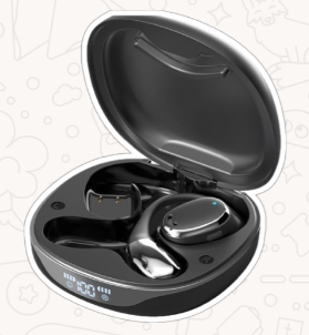 Translator Earbuds