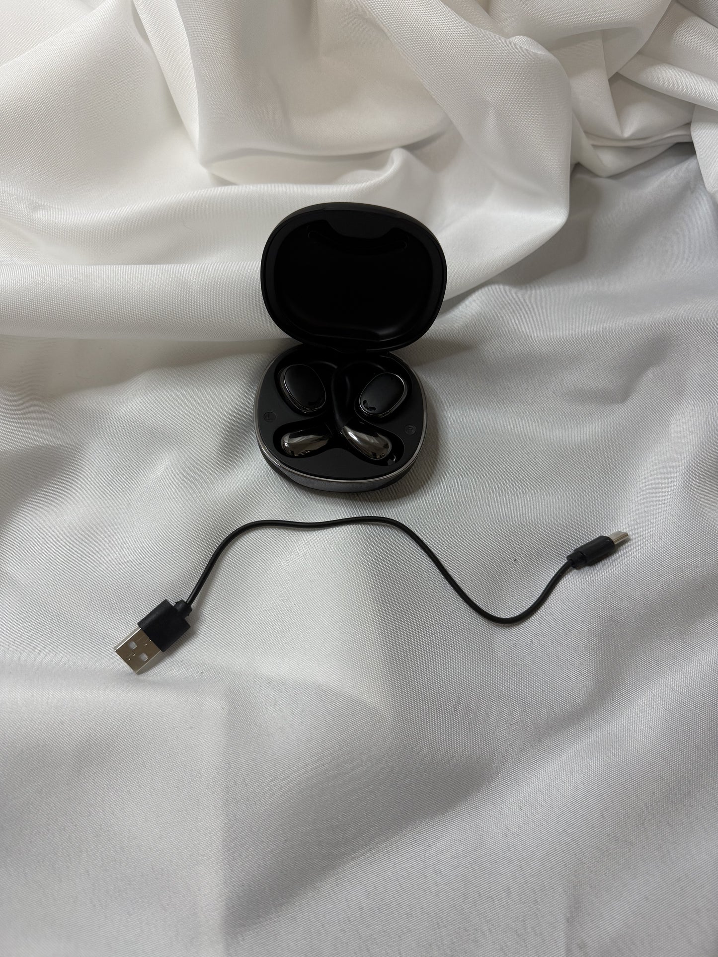 Translator Earbuds